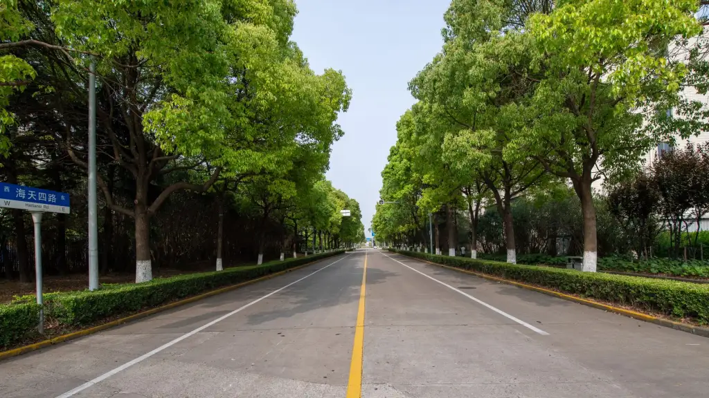 上海周边包车游服务方案设计：司兼导模式下的深度行程规划正文配图 1