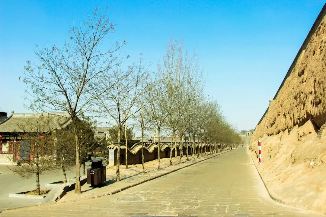 深度旅行定制解决方案：司兼导模式在上海及周边景区的应用实践